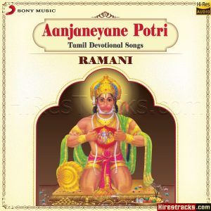 Aanjaneyane Potri (1989) (Ramani) (Sony Music) [24 BIT – 88.2 KHZ] [Digital-DL-FLAC]