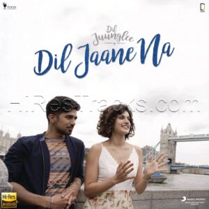Dil Jaane Na (2018) (Sharib Toshi) (Pooja Music) [24 BIT – 96 KHZ] [Digital-DL-FLAC]