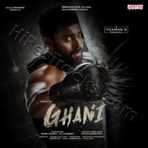 Ghani (2022) (Thaman S) (Aditya Music (India) Pvt Ltd) [Digital-DL-FLAC]
