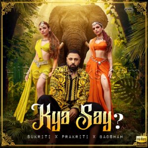Kya Say (2022) (Badshah) (Universal Music India Pvt. Ltd) [24 BIT – 96 KHZ] [Digital-DL-FLAC]