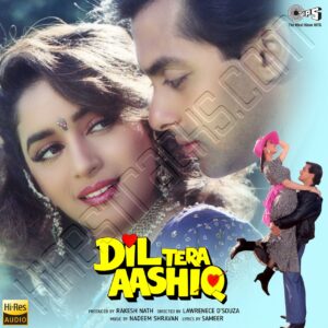 Dil Tera Aashiq (1993) (Nadeem-Shravan) (Tips Industries Ltd) [24 BIT] [Digital-DL-FLAC]