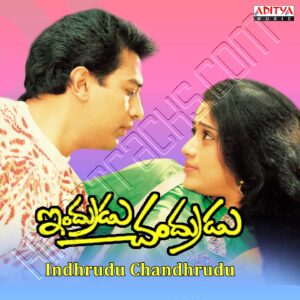 Indhrudu Chandhrudu (1989) (Ilaiyaraaja) (Aditya Music (India) Pvt Ltd) [Digital-DL-FLAC]