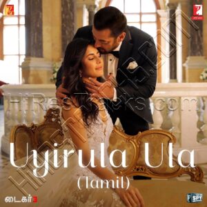 Uyirula Ula (From Tiger 3) – Tamil Version (2023) (Pritam) (YRF Music) [Digital-DL-FLAC]