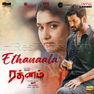 Ethanaala (From Rathnam - Tamil) (2024) (Devi Sri Prasad) (Aditya Music (India) Pvt Ltd) [24 BIT - 96 KHZ] [Digital-DL-FLAC]
