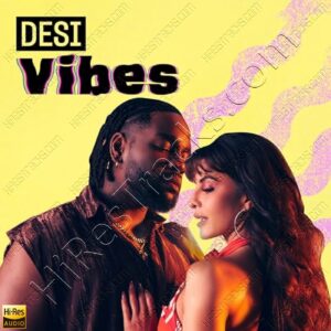 Desi Vibes (2024) (Various Artists) [24 BIT] [Digital-DL-FLAC]
