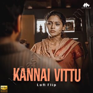 Kannai Vittu (Lofi Flip) (2024) (Narendar Sankar) (Mass Audios) [24 BIT - 48 KHZ] [Digital-DL-FLAC]