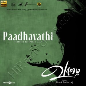 Paadhavathi (From Vaazhai) (2024) (Santhosh Narayanan) (Think Music) [24 BIT – 48 KHZ] [Digital-DL-FLAC]