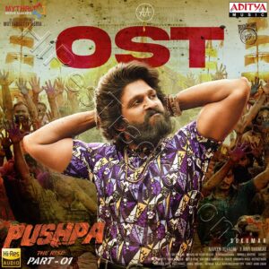 Pushpa The Rise (Original Background Score) (2023) (Devi Sri Prasad) (Aditya Music (India) Pvt Ltd) [24 BIT – 96 KHZ] [Digital-DL-FLAC]
