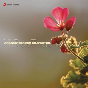Aakasathekoru Kilivaathil (1995) (Ouseppachan) (Sony Music Entertainment India Pvt. Ltd.) [Digital-DL-FLAC]