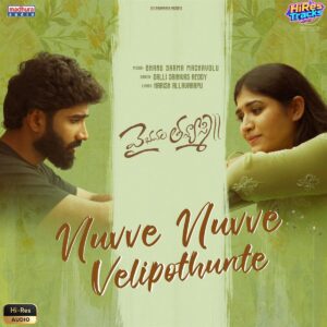 Nuvve Nuvve Velipothunte (From Vaibhavam Thanyasmi) (2026) (Bhanu Sarma Machavolu) (Madhura Audio LLP) [24 BIT - 48 KHZ] [Digital-DL-FLAC]