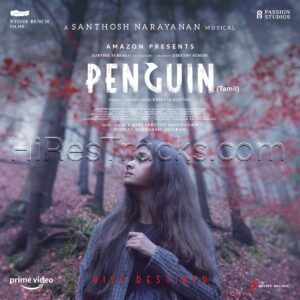 Penguin (2020) (Santhosh Narayanan) (Sony Music Entertainment India Pvt. Ltd) [Digital-DL-FLAC]