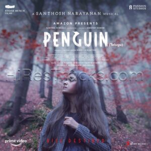 Penguin (Telugu) (2020) (Santhosh Narayanan) (Sony Music Entertainment India Pvt. Ltd) [Digital-DL-FLAC]