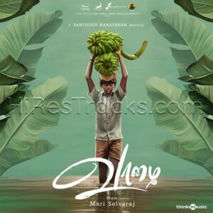 Vaazhai (2024) (Santhosh Narayanan) (Think Music) [Digital-DL-FLAC]