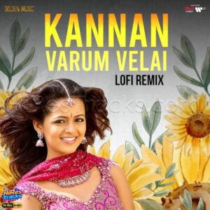 Kannan Varum Velai lofi remix (2026) (Yuvan Shankar Raja) (Golden Music) [24 BIT - 96 KHZ] [Digital-DL-FLAC]