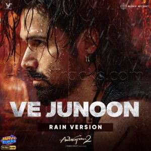 Ve Junoon (Rain Version) (2026) (Mithoon) (Sony Music Entertainment India Pvt. Ltd. Vishesh Films Pvt. Ltd) [24 BIT - 96 KHZ] [Digital-DL-FLAC]
