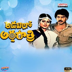 Adavilo Ardharatri (1989) (Raj-Koti) (Aditya Music (India) Pvt Ltd) [24 BIT - 96 KHZ] [Digital-DL-FLAC]