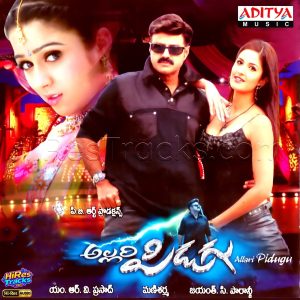 Allari Pidugu (2005) (Mani Sharma) (Aditya Music (India) Pvt Ltd) [24 BIT - 44.1 KHZ] [Digital-DL-FLAC]