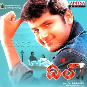 Dil (2003) (R.P. Patnaik) (Aditya Music (India) Pvt Ltd) [Digital-DL-FLAC]