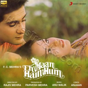 Ek Jaan Hain Hum (1983) (Anu Malik) (Sony Music) [24 BIT - 88.2 KHZ] [Digital-DL-FLAC]