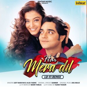 Hai Mera Dil (Lo-Fi Remix) (2023) (Anu Malik) (Ishtar Music Pvt. Ltd) [24 BIT - 48 KHZ] [Digital-DL-FLAC]