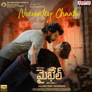 Neevuntey Chaalu (Telugu) (From Michael) (2022) (Sam C.S.) (Aditya Music) [24 BIT - 96 KHZ] [Digital-DL-FLAC]