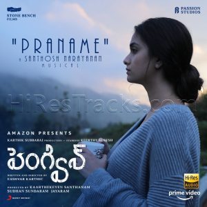 Praname (From Penguin (Telugu)) (2020) (Santhosh Narayanan) (Sony Music) [24 BIT - 48 KHZ] [Digital-DL-FLAC]