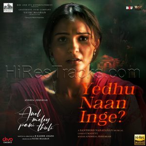Yedhu Naan Inge (From Anel Meley Pani Thuli) (2022) (Santhosh Narayanan) (Divo Tv Private Limited) [24 BIT - 48 KHZ] [Digital-DL-FLAC]